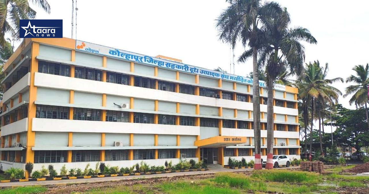 gokul milk sales increase kolhapur demand growth